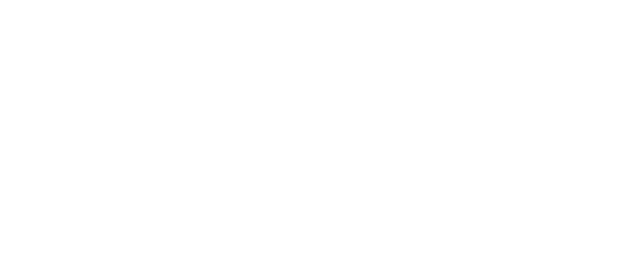 bl-nk--logo-white-rgb-900px-w-72ppi